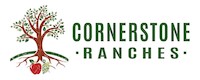 Cornerstone