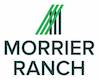 Morrier