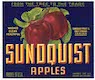 Sundquist fruit