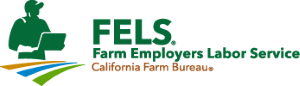 FELS