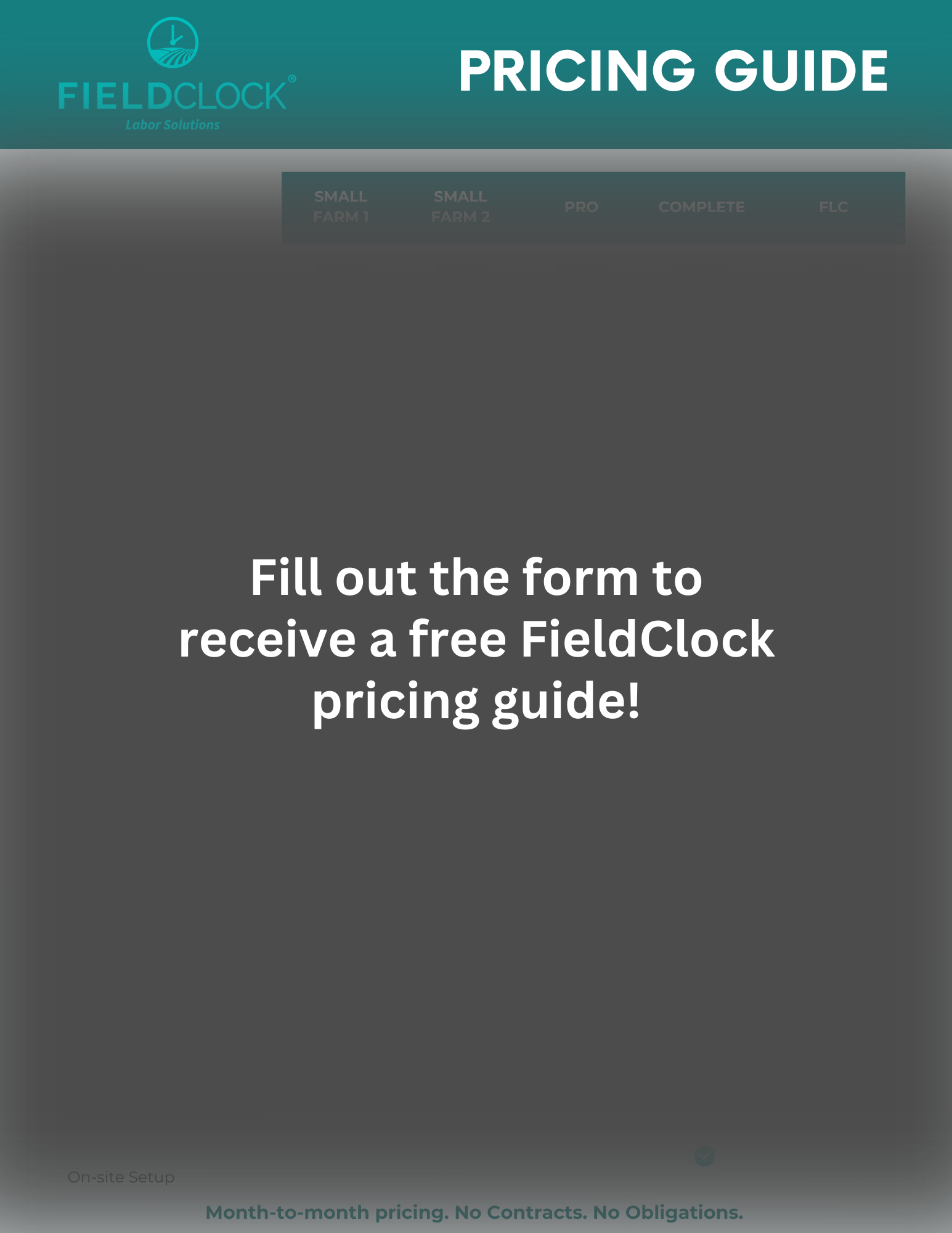 Blurred FieldClock Pricing Guide - Sales