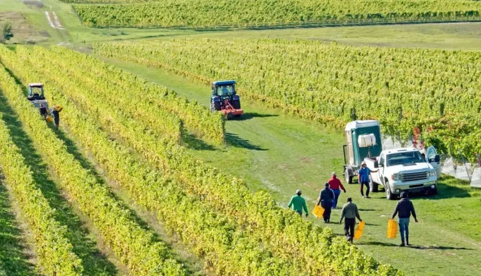 FieldClock works in any field any where any time