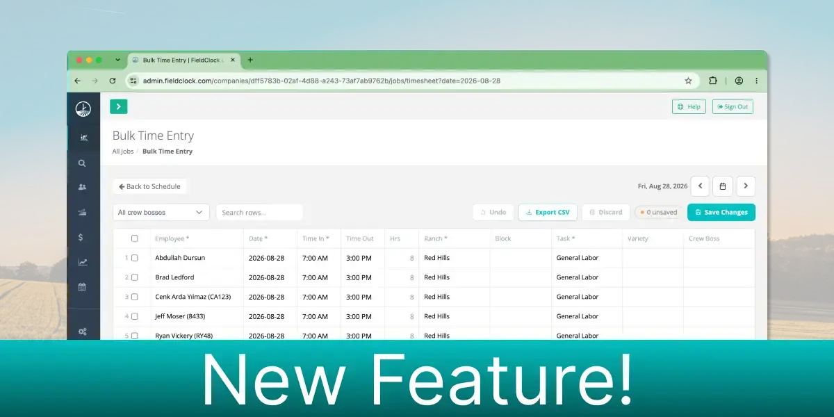 New Feature: Bulk Time Editing