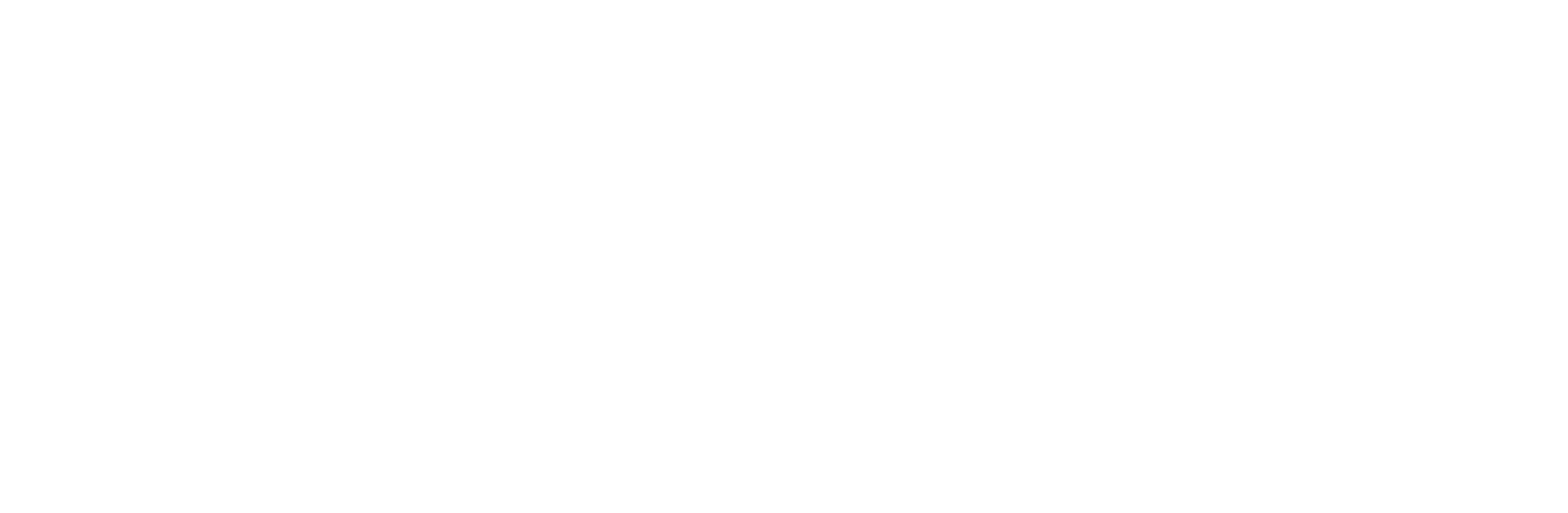 NDFB_Logo_transparent-white