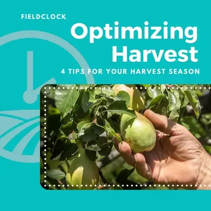 optimizing-harvest-ebook