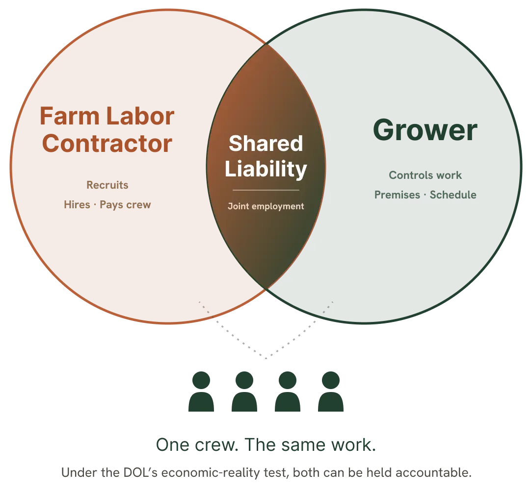 FLCs and Growers Share Liability