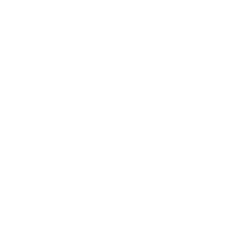 Webinar-Mic