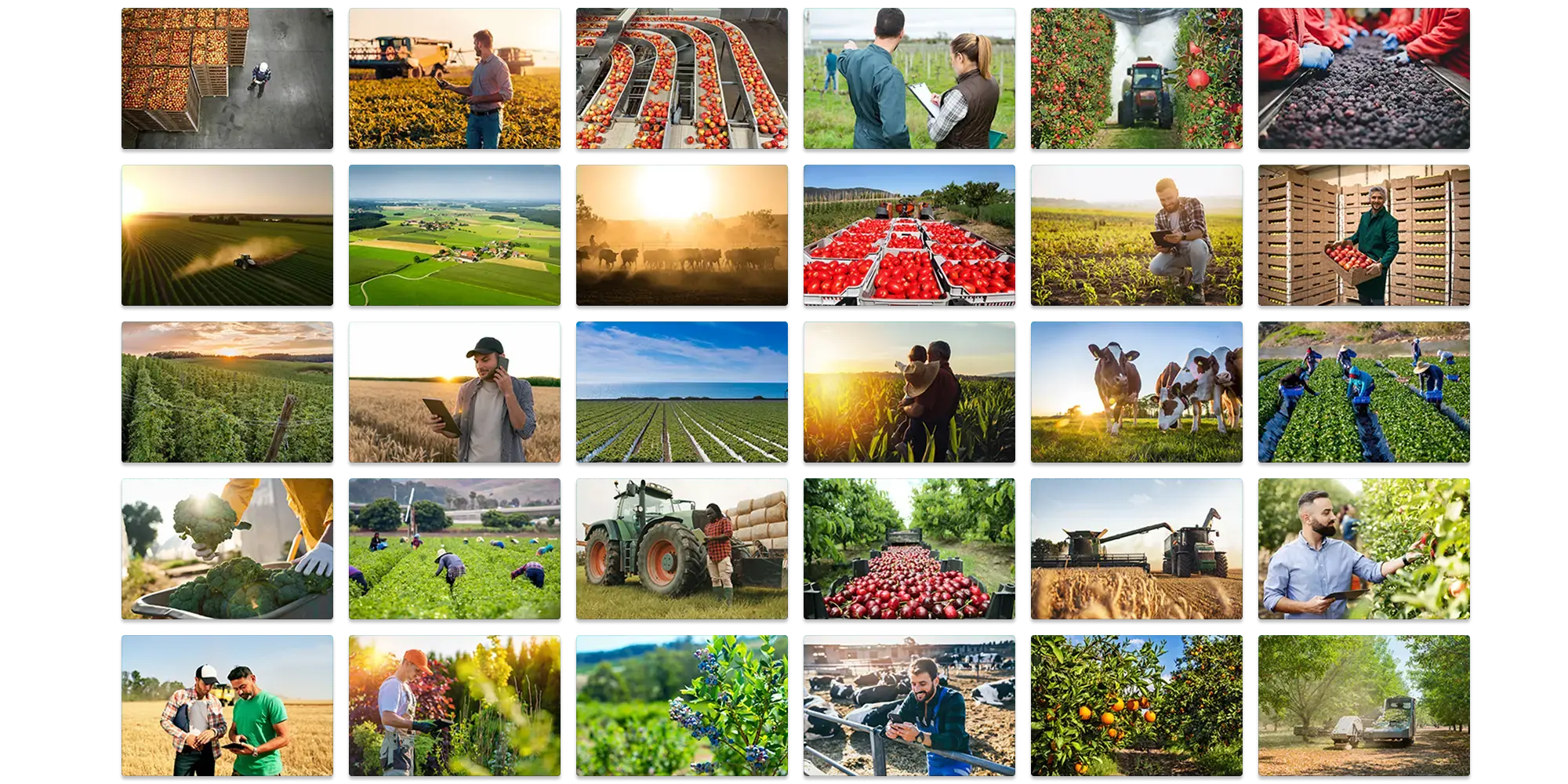 FieldClock For Every Farm