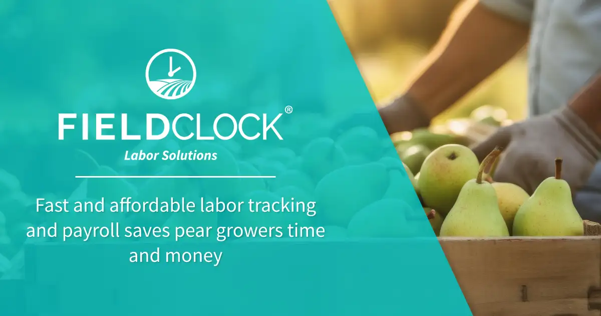 FieldClock - Manage your pear labor and harvest more effectively